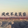 DJ阿崎Remix - 风吹不走笑容V2