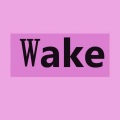 wake (纯音乐)