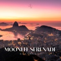 Moonlit Serenade: Coffee Shop Bossa Nova
