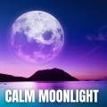 Calm Moonlight