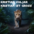 Kristian Vuljar - Kristian Ist Gross (Explicit)
