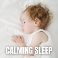 Calming Sleep