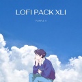 Lofi Pack 41
