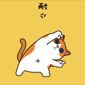 卡色 - 悬崖