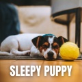 The Sleepy Sounds - Her Better