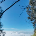DDK、Prasuma - Suara Hutan dan alam pedesaan