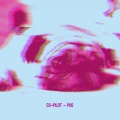 Co-Pilot - Pug