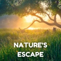The Peaceful Garden - Moves Like