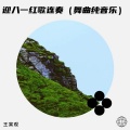 王寅观 - 迎八一红歌连奏