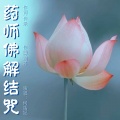 何禹妃 - 药师佛解结咒