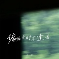 大可 - 偏偏来时不逢春
