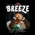 Nj Breeze、SoundBoi BME、Swizzy - Jabole