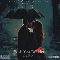 alpha blondy、Vdj smartboy - I wish You Were Here (feat. Alpha Blondy)