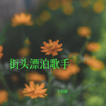 王煊赫 - 街头漂泊歌手
