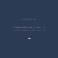 Symphony No. 2 in D Major, Op. 73: 3. Allegretto grazioso (quasi andantino)