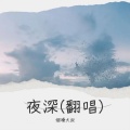烟嗓大叔  林武威 - 夜深