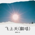 烟嗓大叔  林武威 - 难以抗拒你的容颜