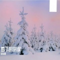 雪下的时候