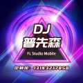 Dj普先森 - 爱上你我傻乎乎