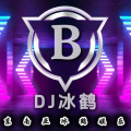 达摩进行曲 (dj冰鹤 remix)