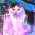 w e l c o m e 買い物客 - あまりにも早くなくなって