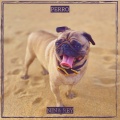 Nina Rey - Perro