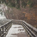Music for Sleeping Ensemble、Sleep Sleep Sleep、Vibes for Baby Sleep - Getting Showered by the Rain