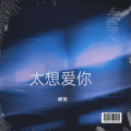 暖宝 - 太想爱你