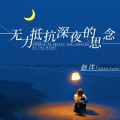 赵洋 - 无力抵抗深夜的思念