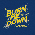 甜Tiannnn.、Asteria4 - Burn Me Down
