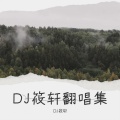 浪子行 (DJ筱轩|DJ何友 remix)