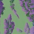 甘文元 - 丁香花