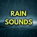 Rain Sounds (Loopable)