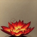 甄玺 - 放下