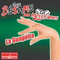 La Guagüita