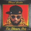 Stee3z、fp - Elastic (Explicit)
