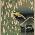 面条、千靥 - 月下蝉