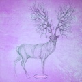 Phonista - Meiotic Drive