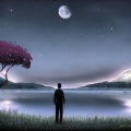 红尘客栈丶陌陌 - 男人的苦女人不清楚