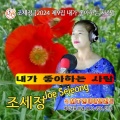 조세정 - 내가좋아하는사람
