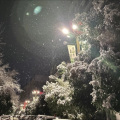 想看雪. - 麦恩莉