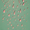 歌手土豆 - 酒醉的雨滴