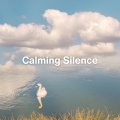Calming Silence