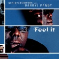 Nerio's Dubwork、darryl pandy - Feel It (Nerio's Dubwork Radio Edit)