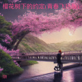 易涛 - 樱花树下的约定