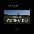 Gonna Do, Wanna Do (Explicit)