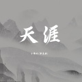 天涯 (沧桑版)