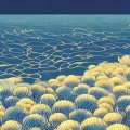 小染 - 海海海