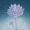小树 - 蓝莲花