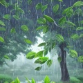 王大大 - 七月的风八月的雨